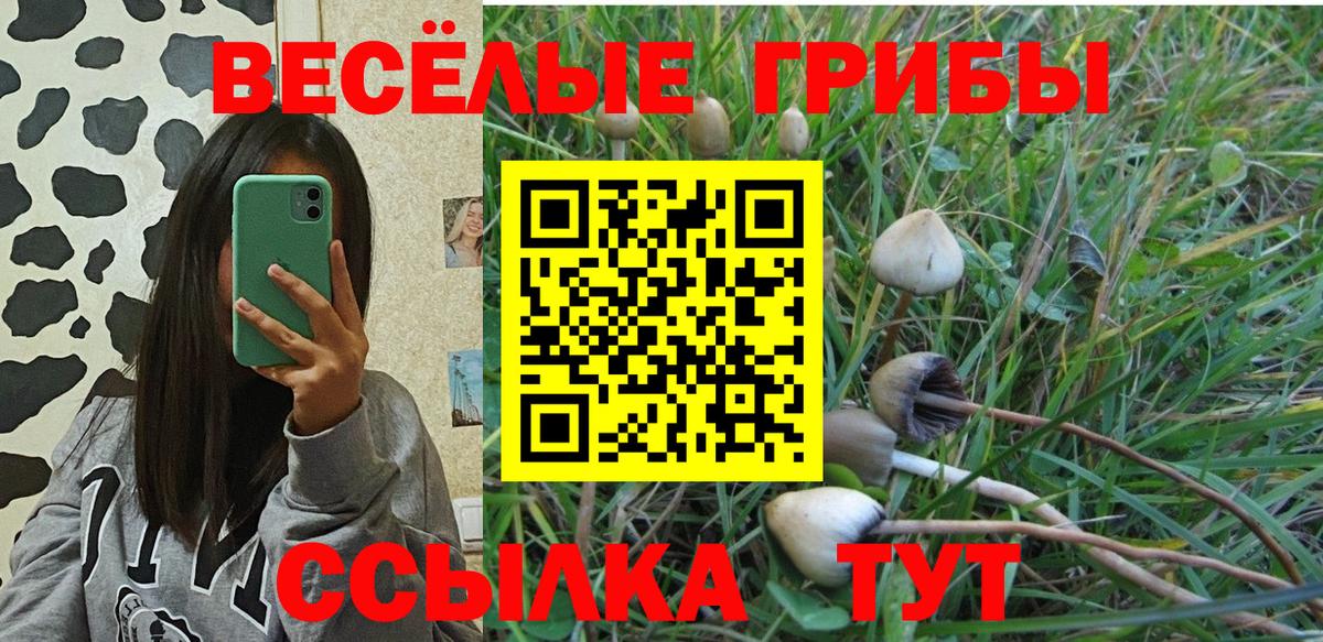 Псилоцибиновые грибы MAGIC MUSHROOMS Краснодар