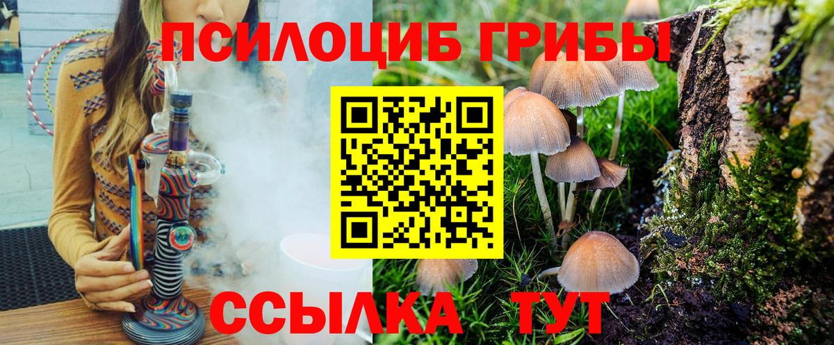 Псилоцибиновые грибы MAGIC MUSHROOMS  Вход с VPN  Краснодар 
